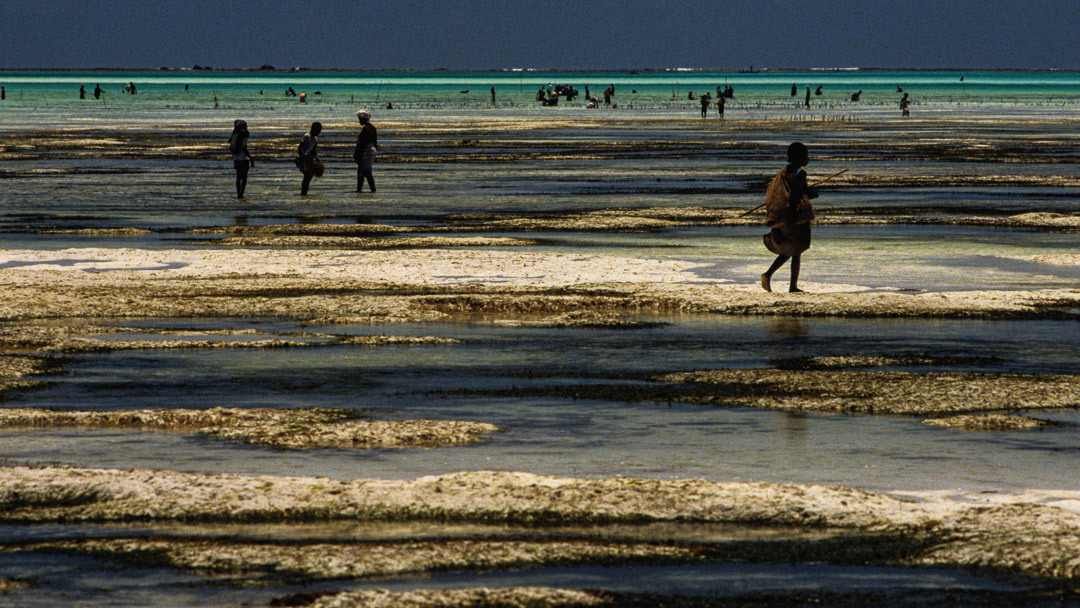 Tanzanie, © MyPhototek