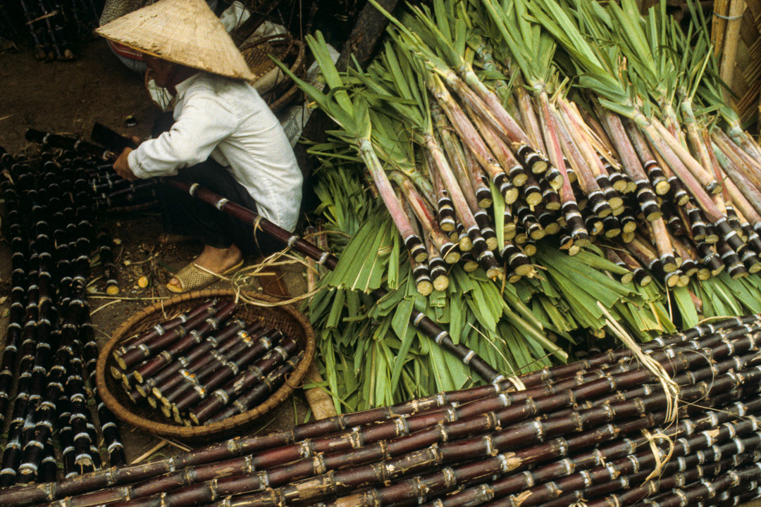 Vietnam, © MyPhototek