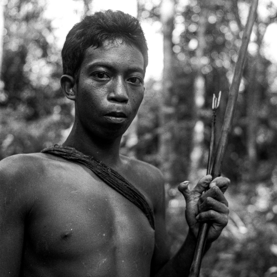 Kubu, © MyPhototek