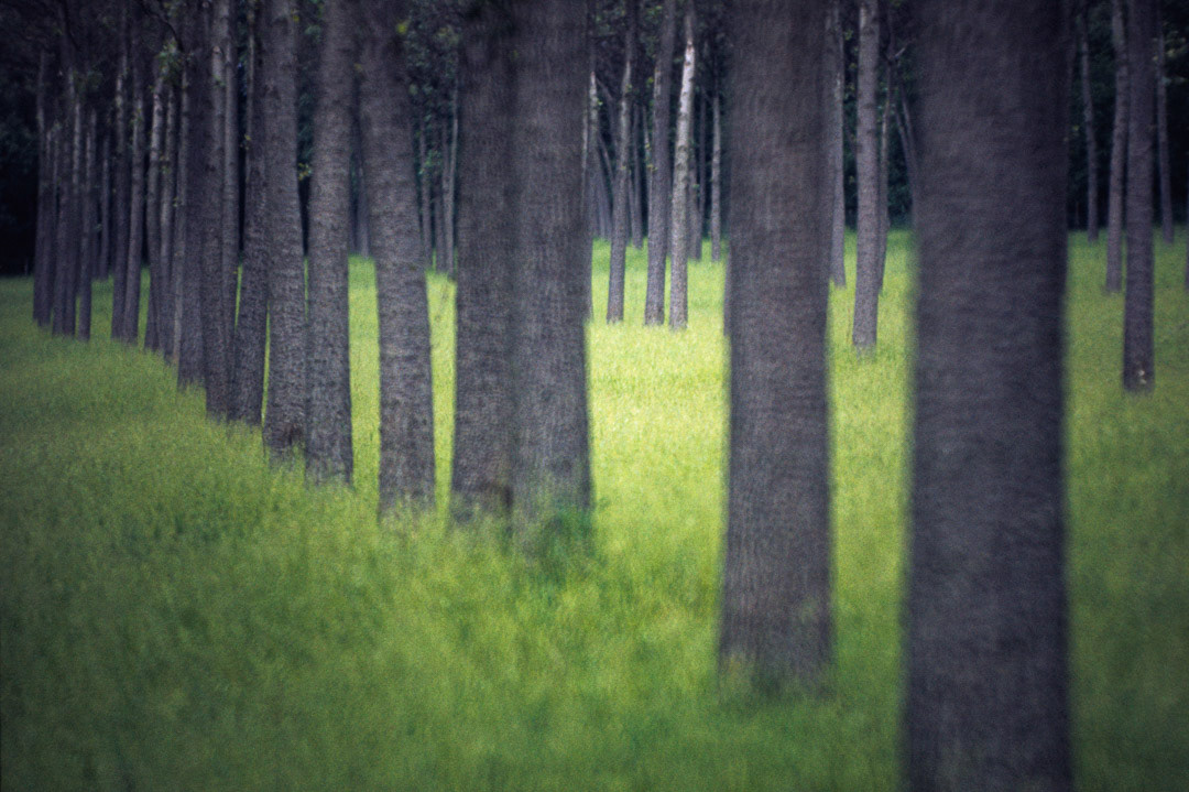 Oise, © MyPhototek