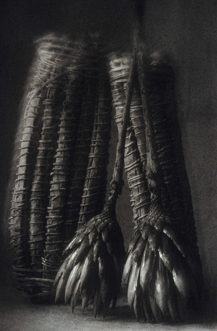 Manioc, © MyPhototek