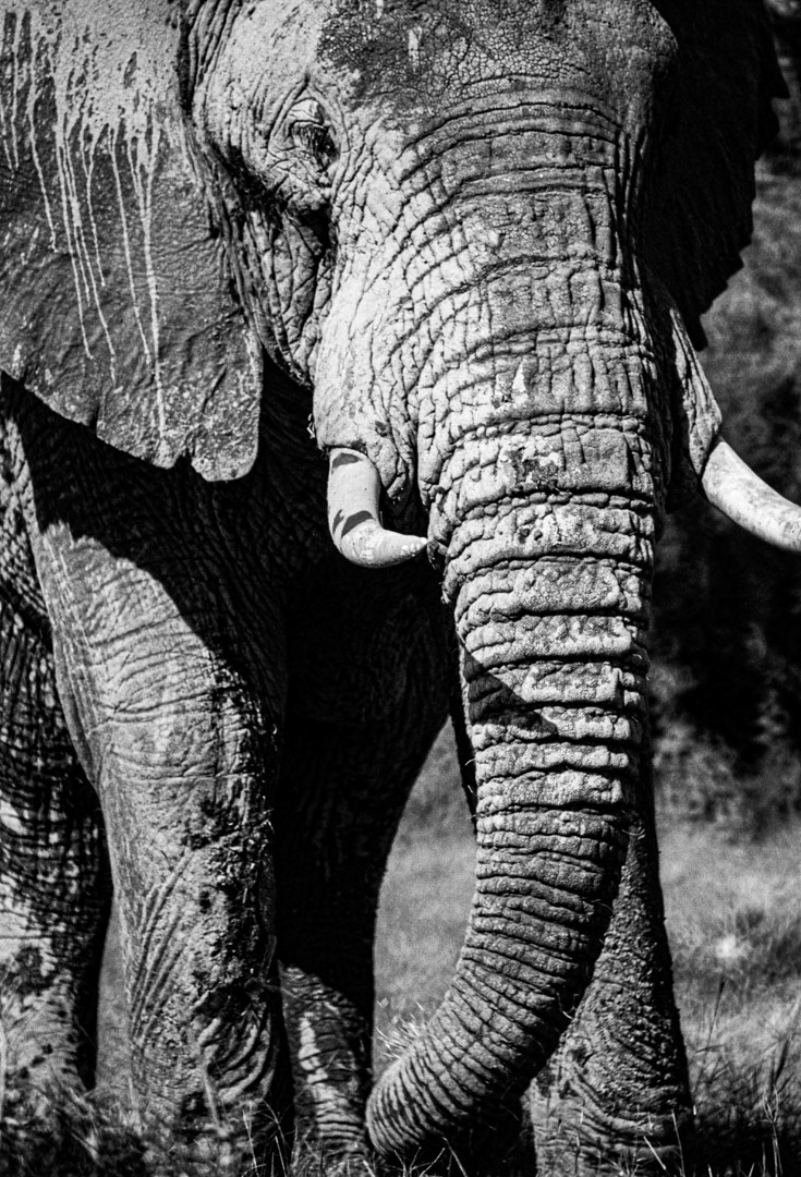 Kenya, © MyPhototek