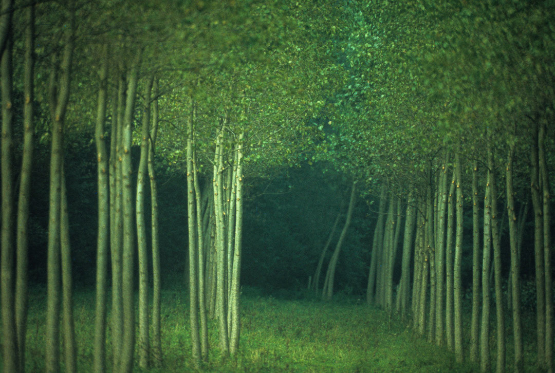 Oise, © MyPhototek