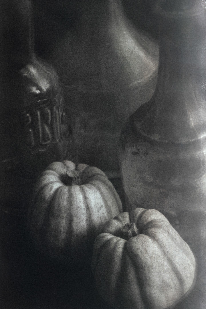 Cucurbitacées et vases, © MyPhototek