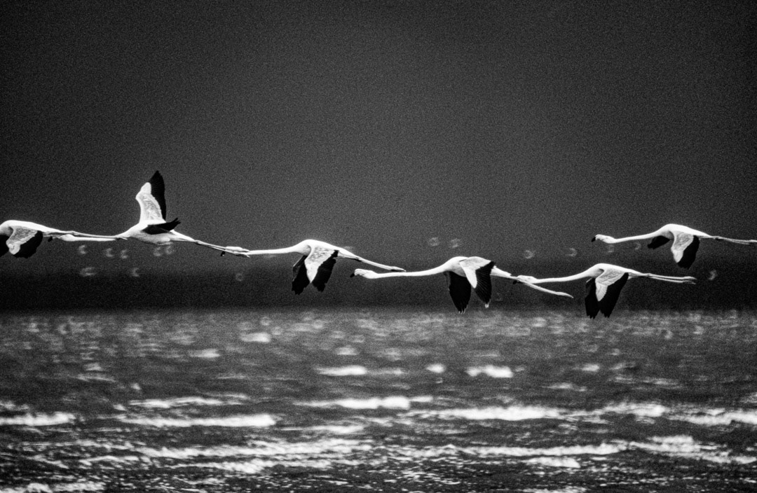 Kenya, © MyPhototek
