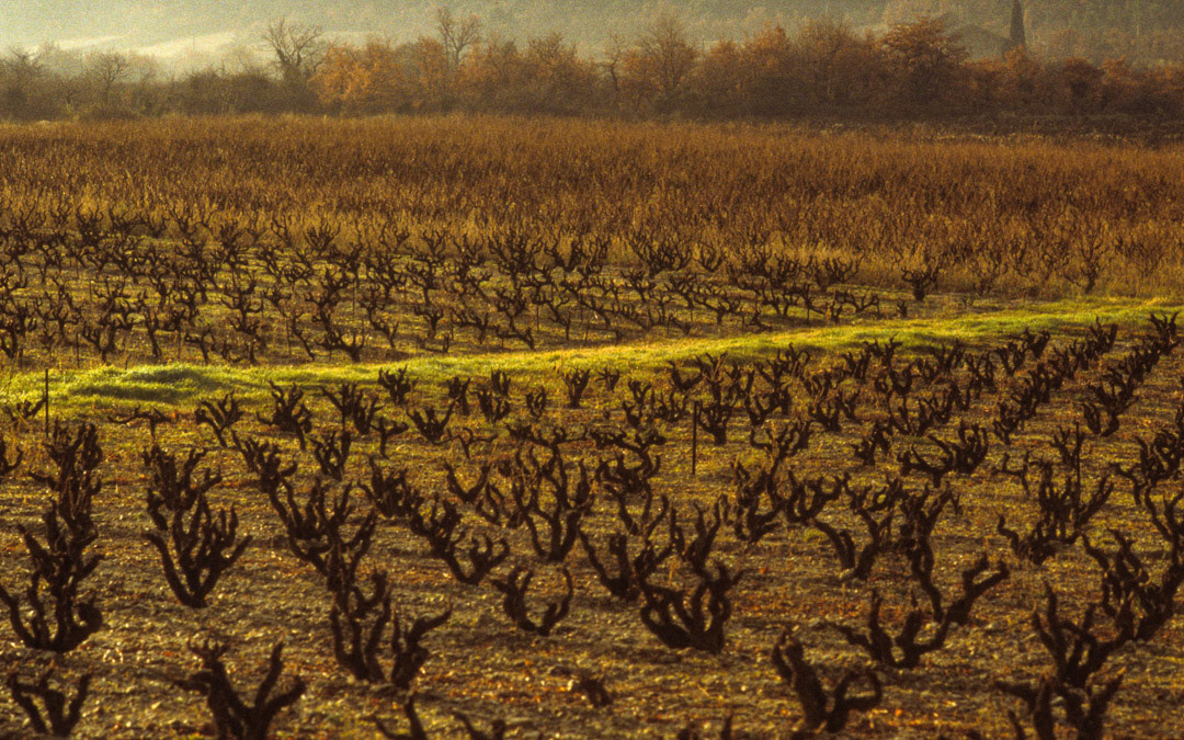Provence, France, © MyPhototek