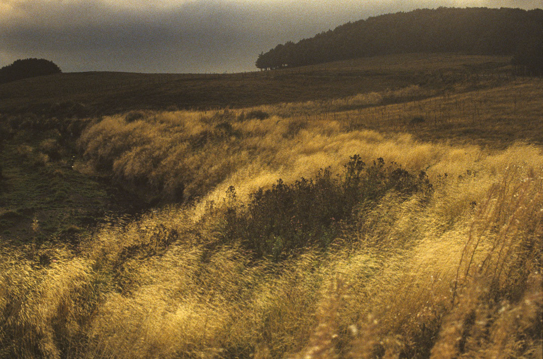 Aveyron, © MyPhototek