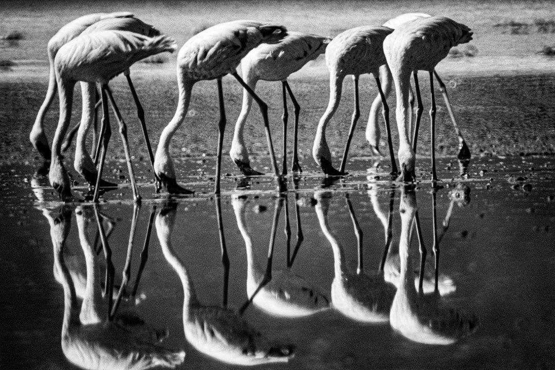 Tanzanie, © MyPhototek