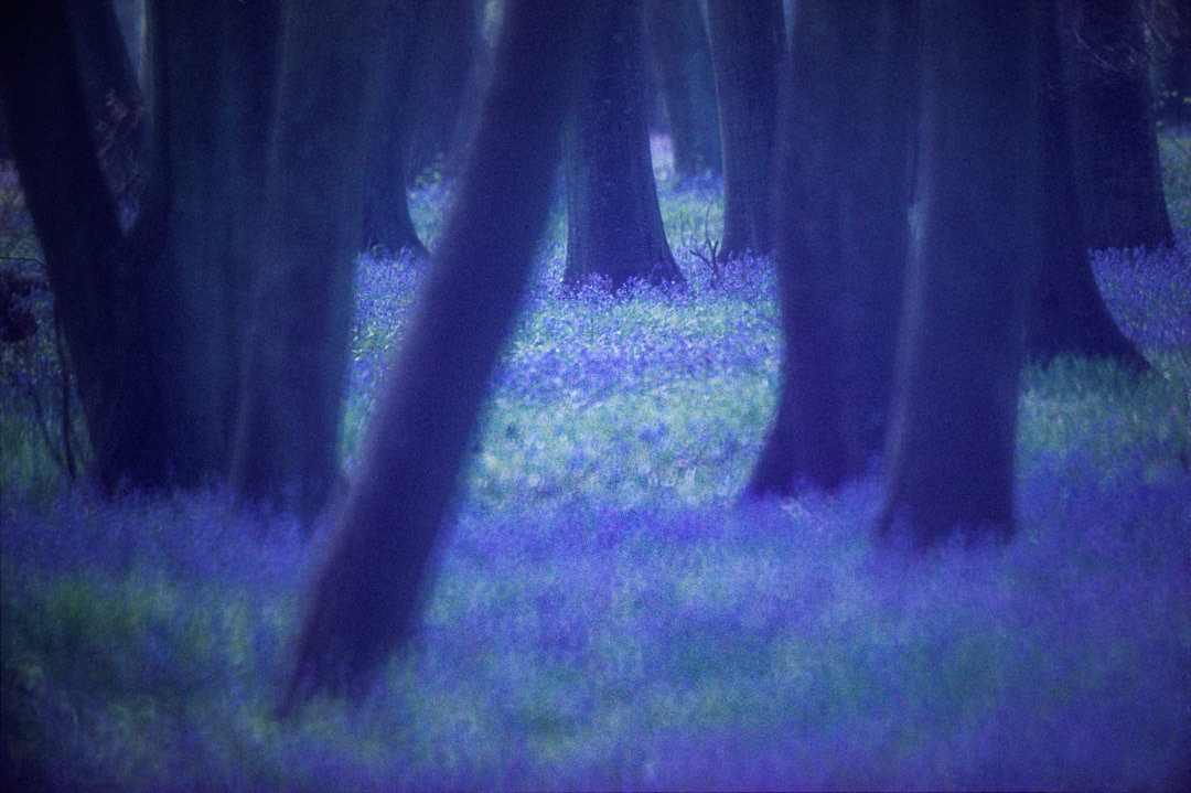 Oise, © MyPhototek