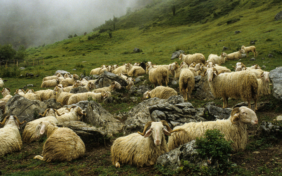 Hautes-Pyrénées, France, © MyPhototek