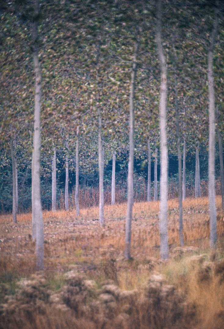 Oise, © MyPhototek