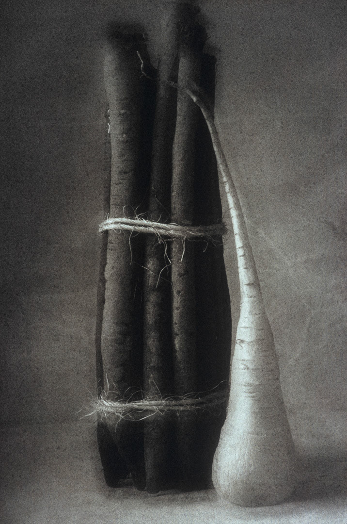 Salsifis et panais, © MyPhototek