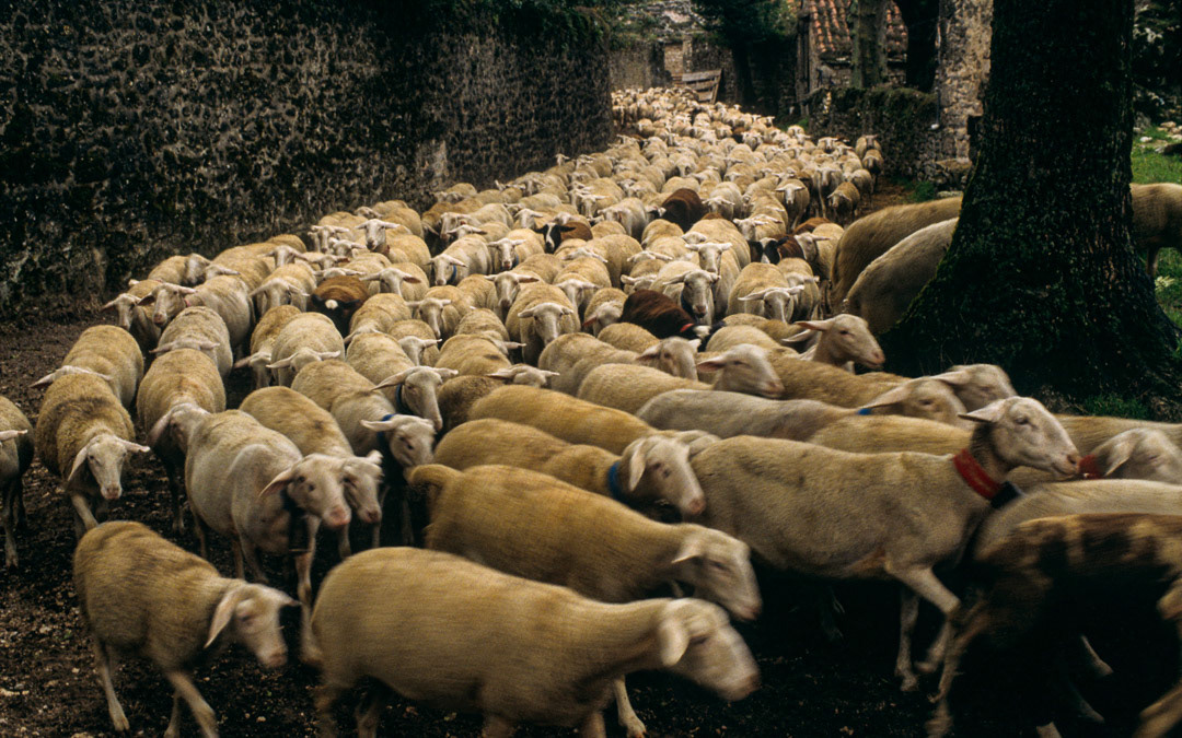 Aveyron, France, © MyPhototek