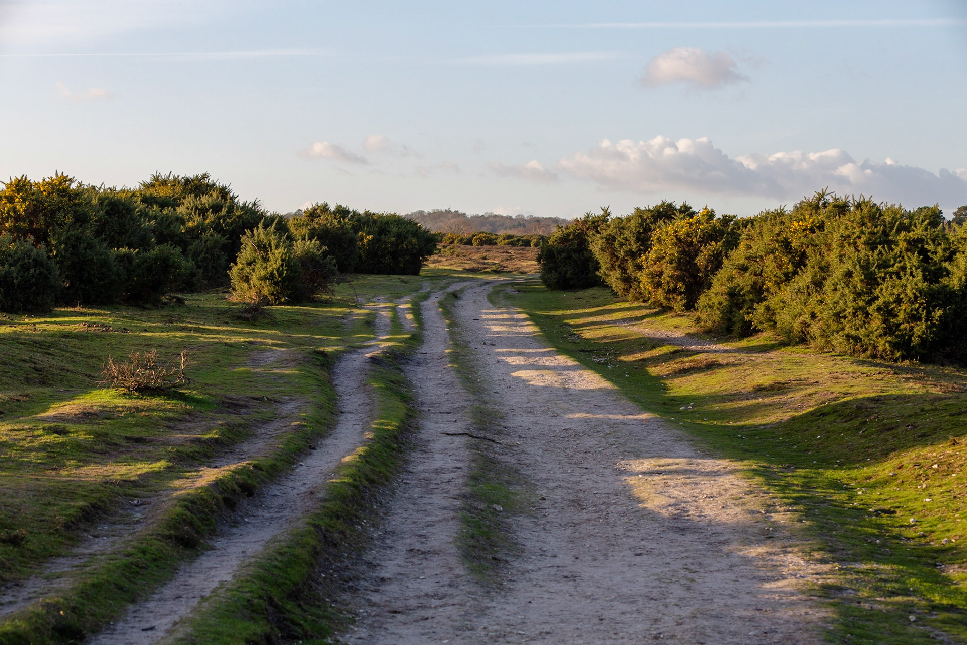 Back towards Lyndhurst