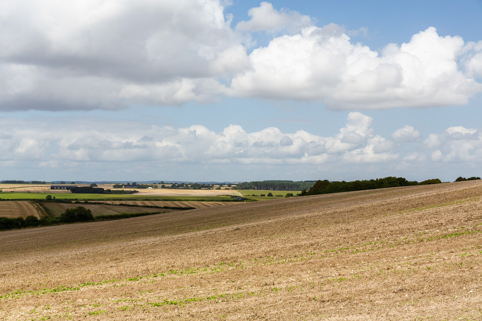 View over farmland
