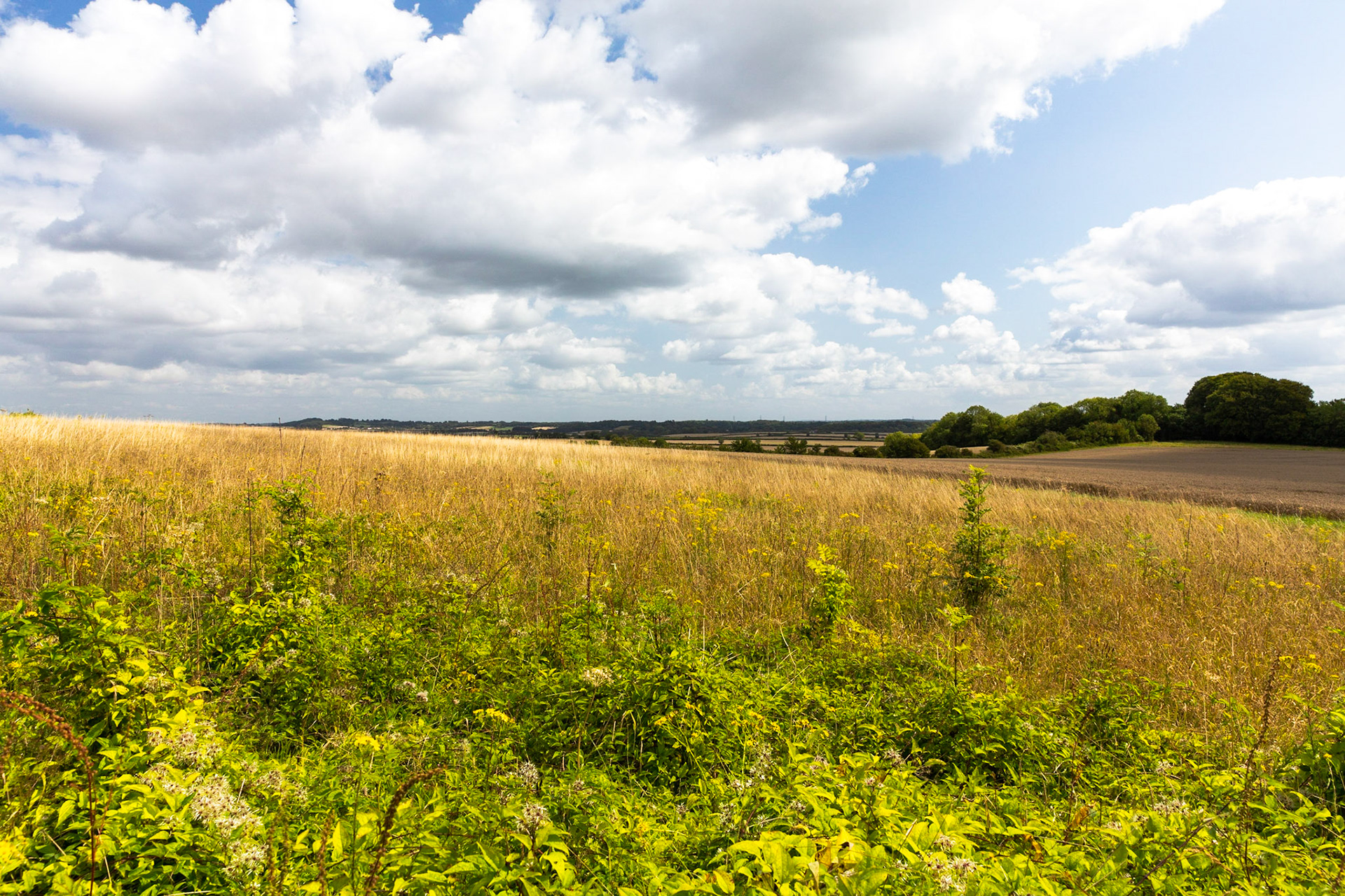 Towards Lower Barnsley