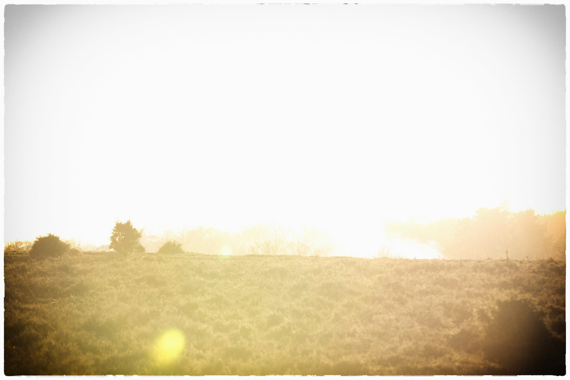 Dying light