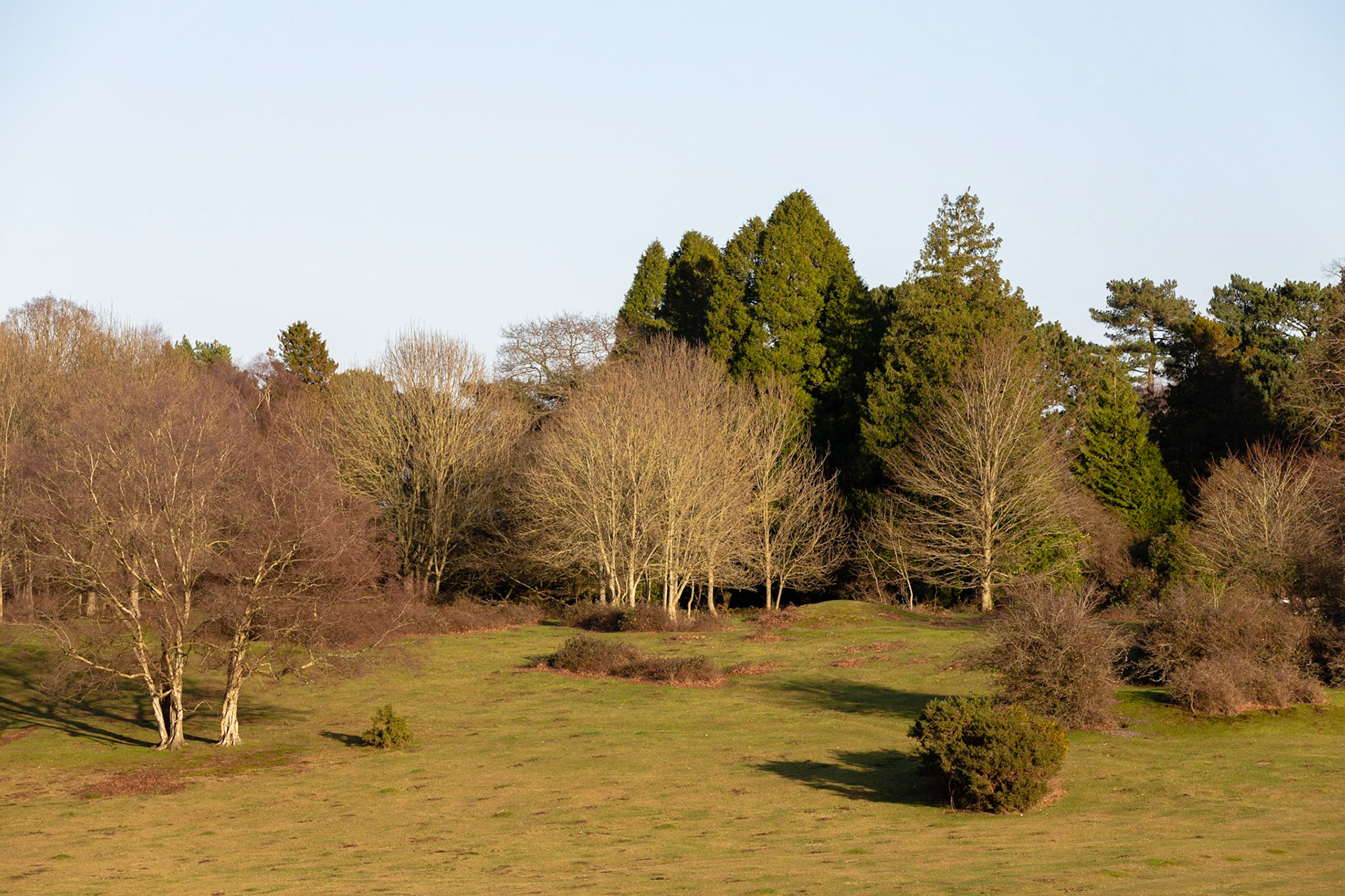 Lyndhurst