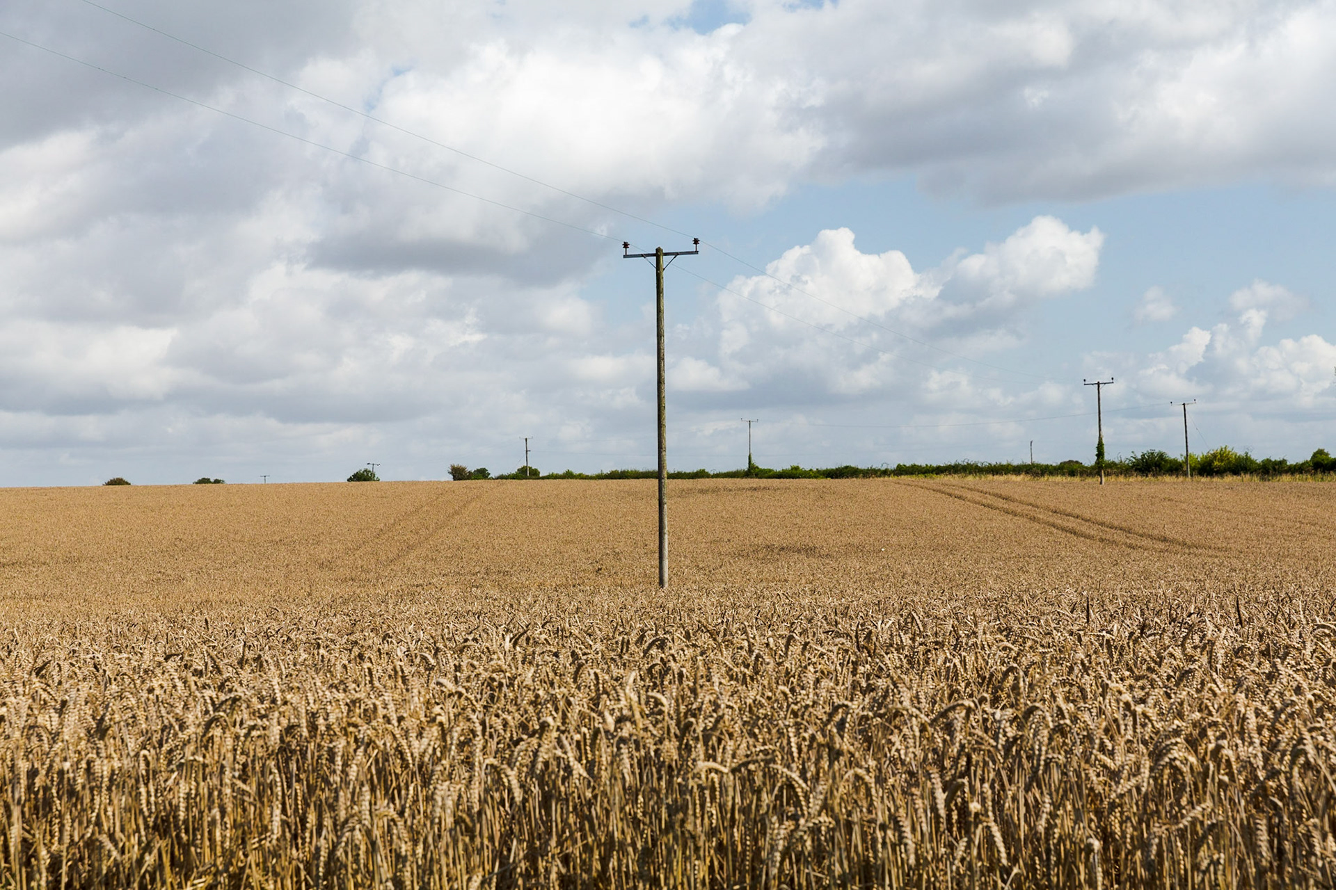 Pylon