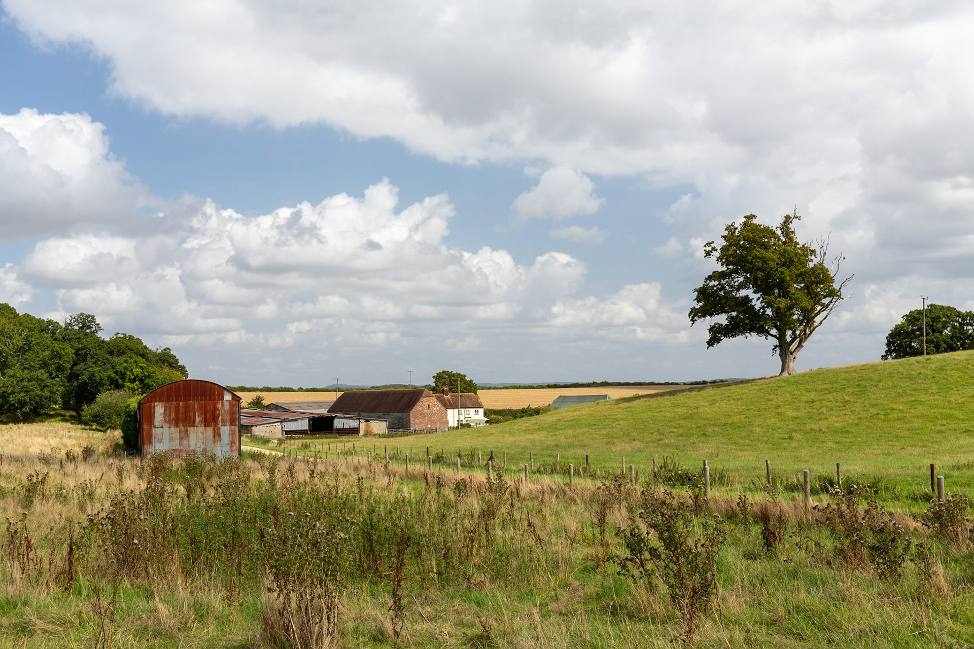 King Down Farm