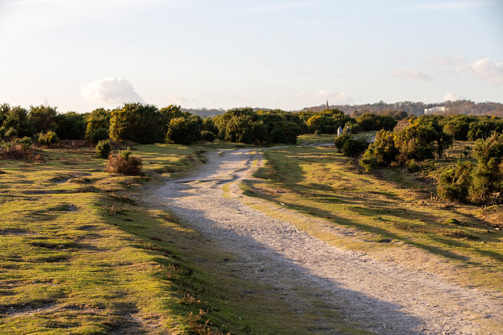 White Moor