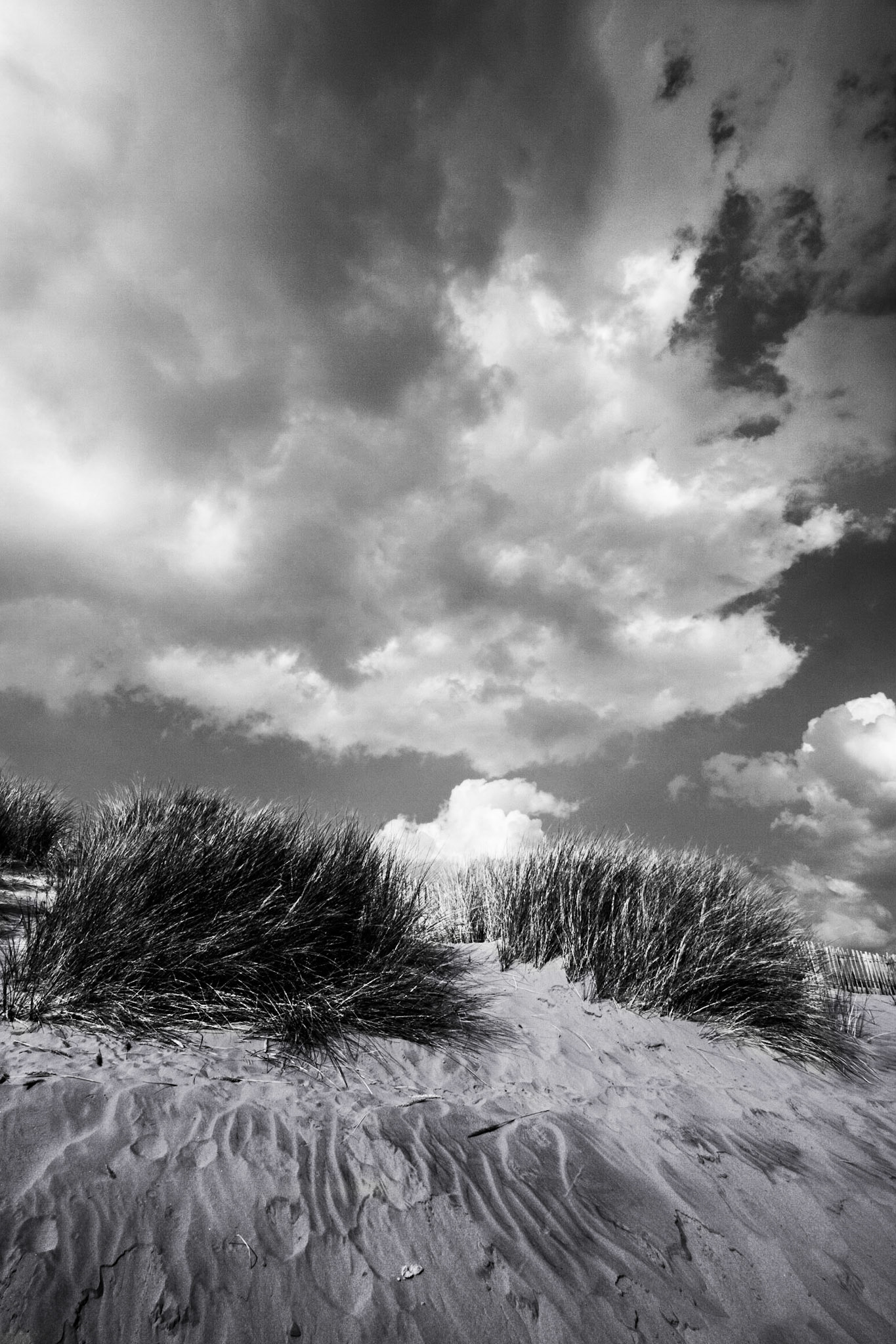 Ainsdale Dunes