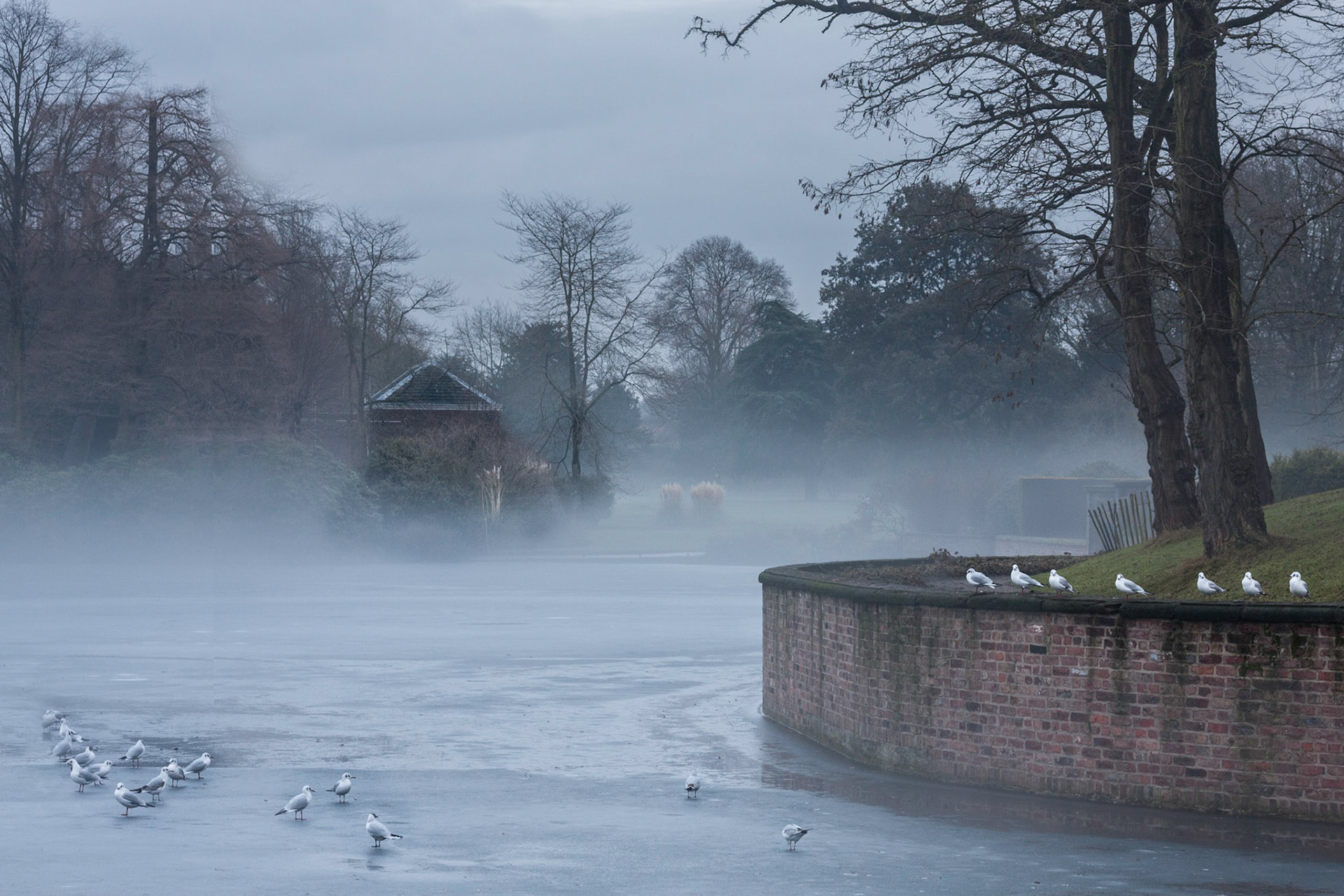 Frosty Day Dunham Massey