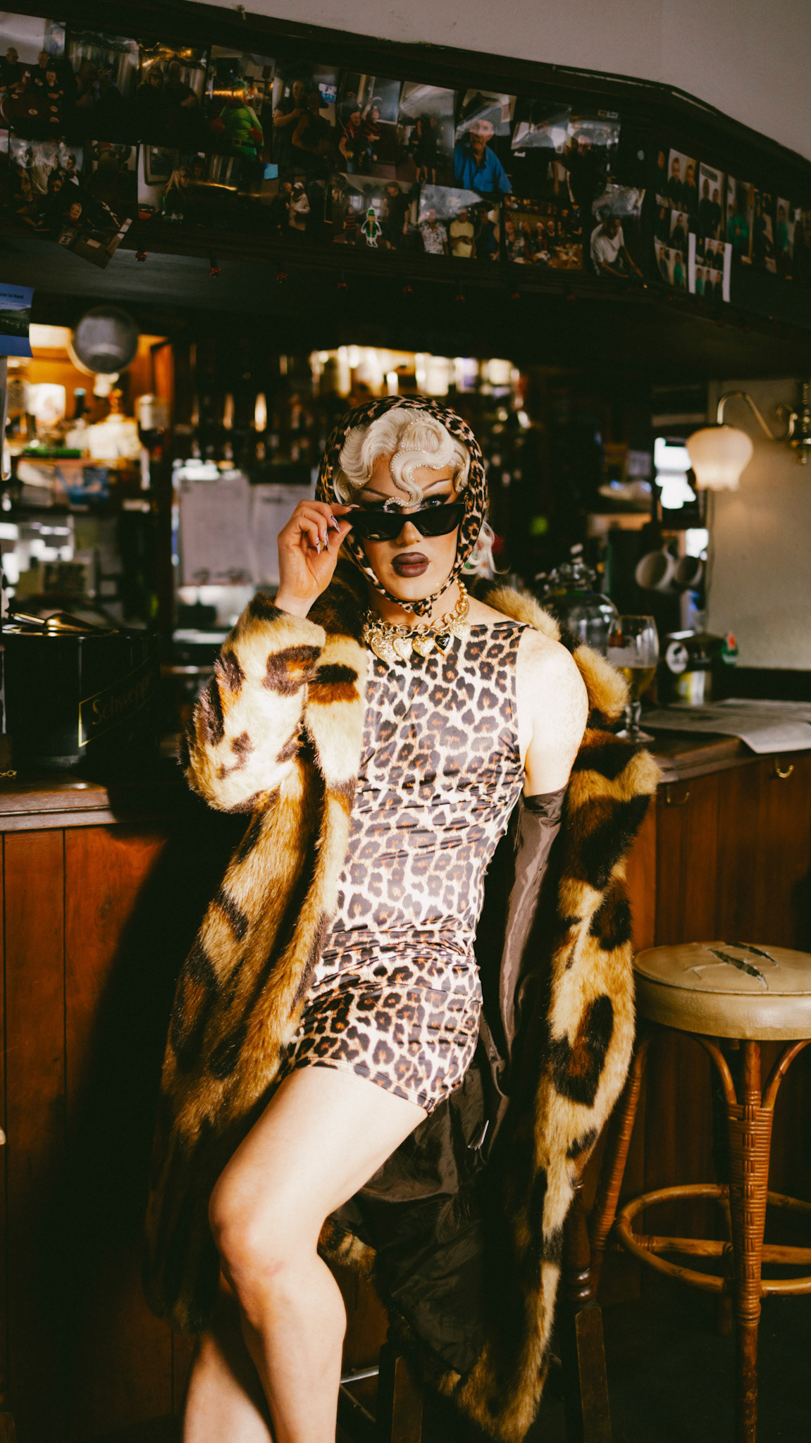 Elekra Fence [March 2025]