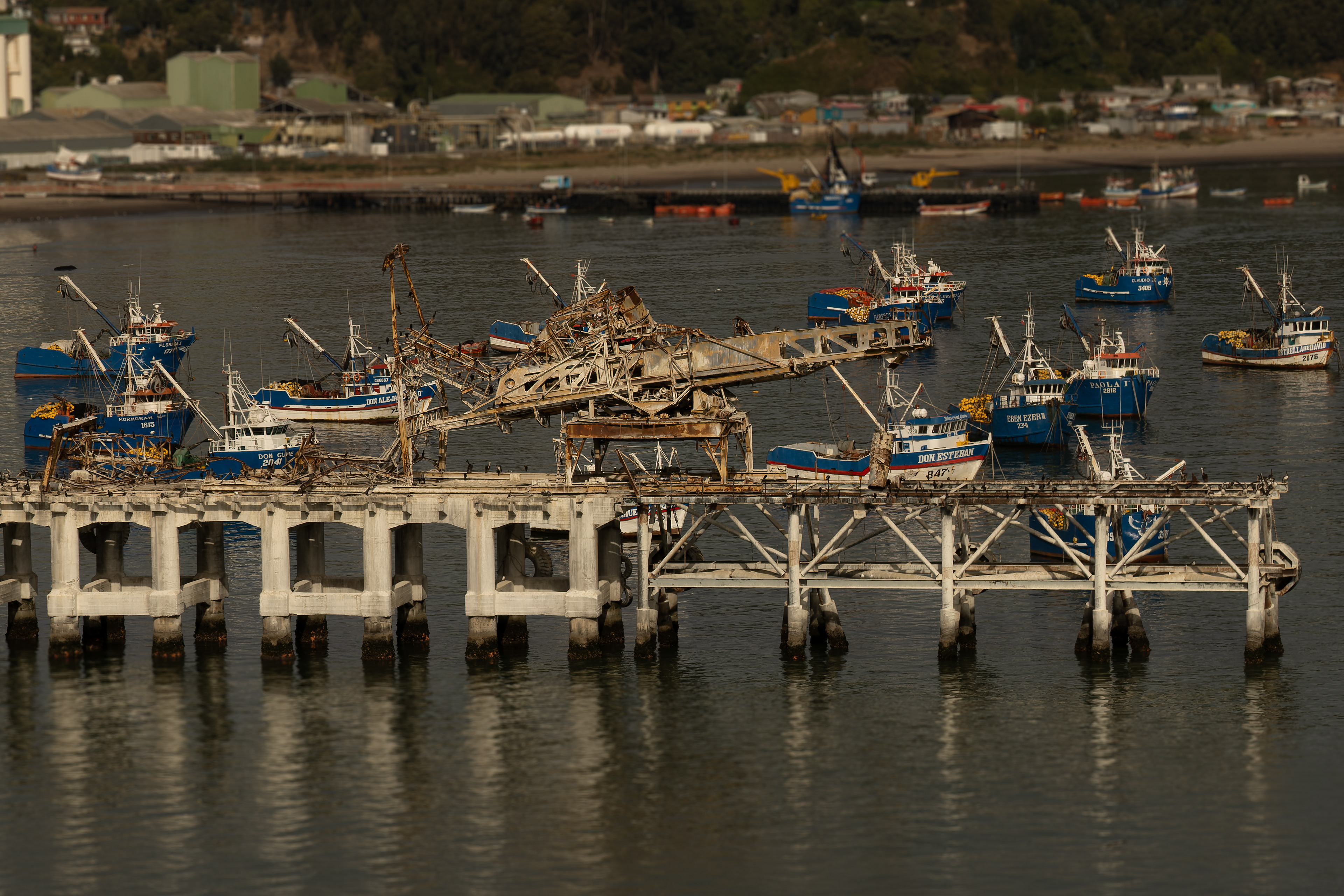 Muelle Schwager , Lota