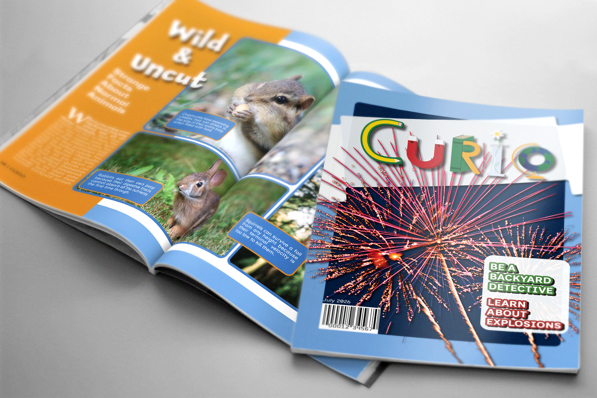 Magazine Layout Design