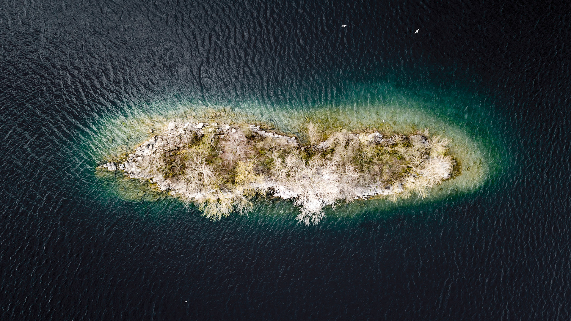 Island on the Walensee
