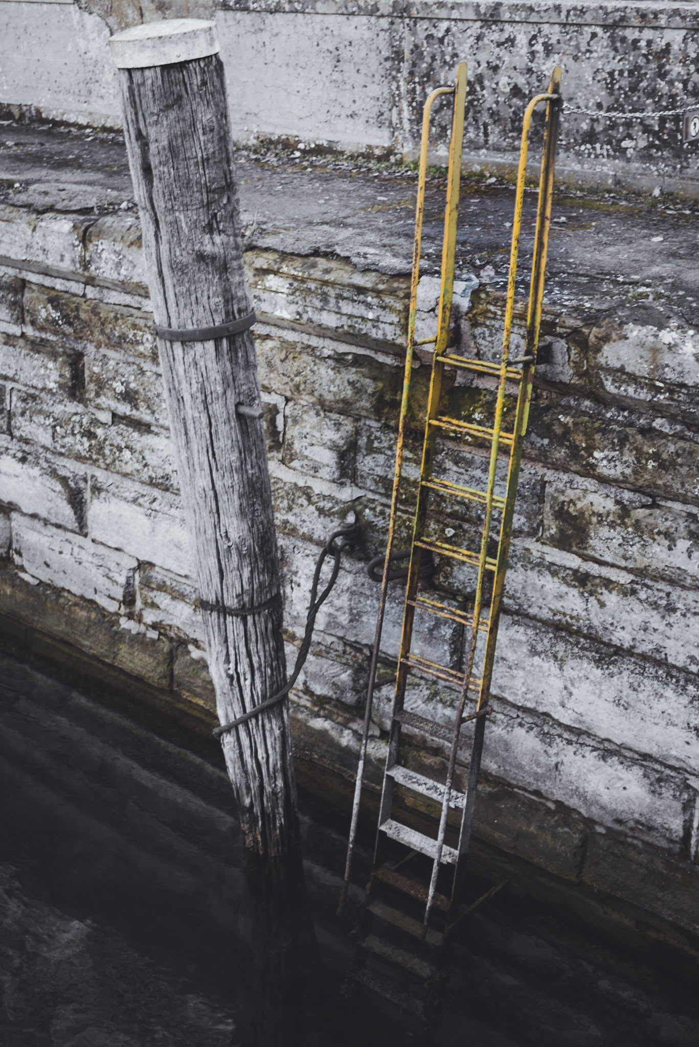 Ladder in the Harbour