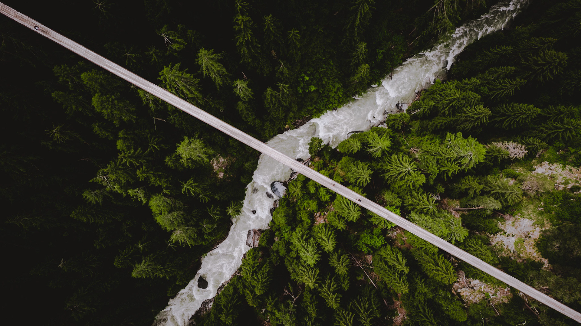 Suspension Bridge