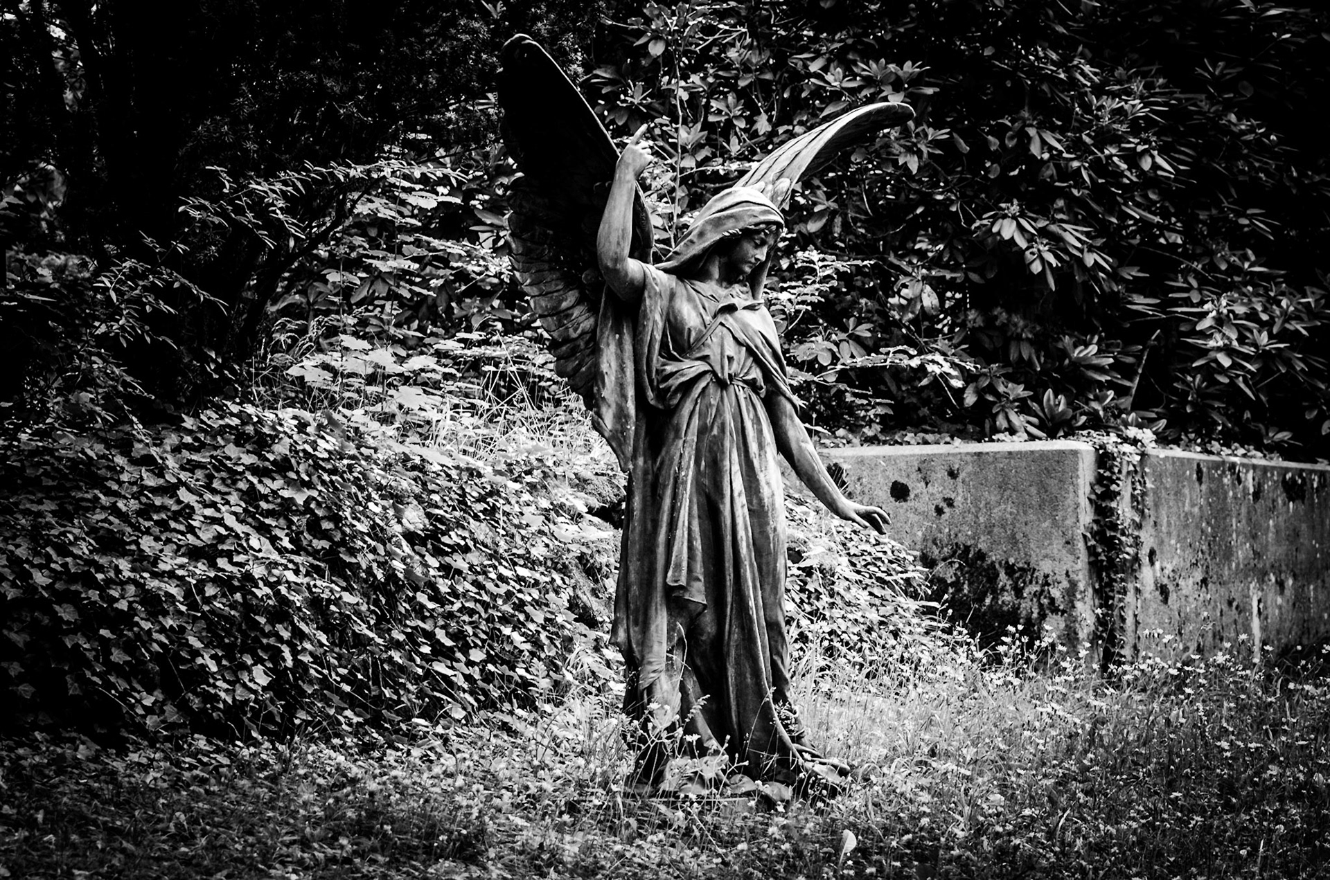 Cimetery
