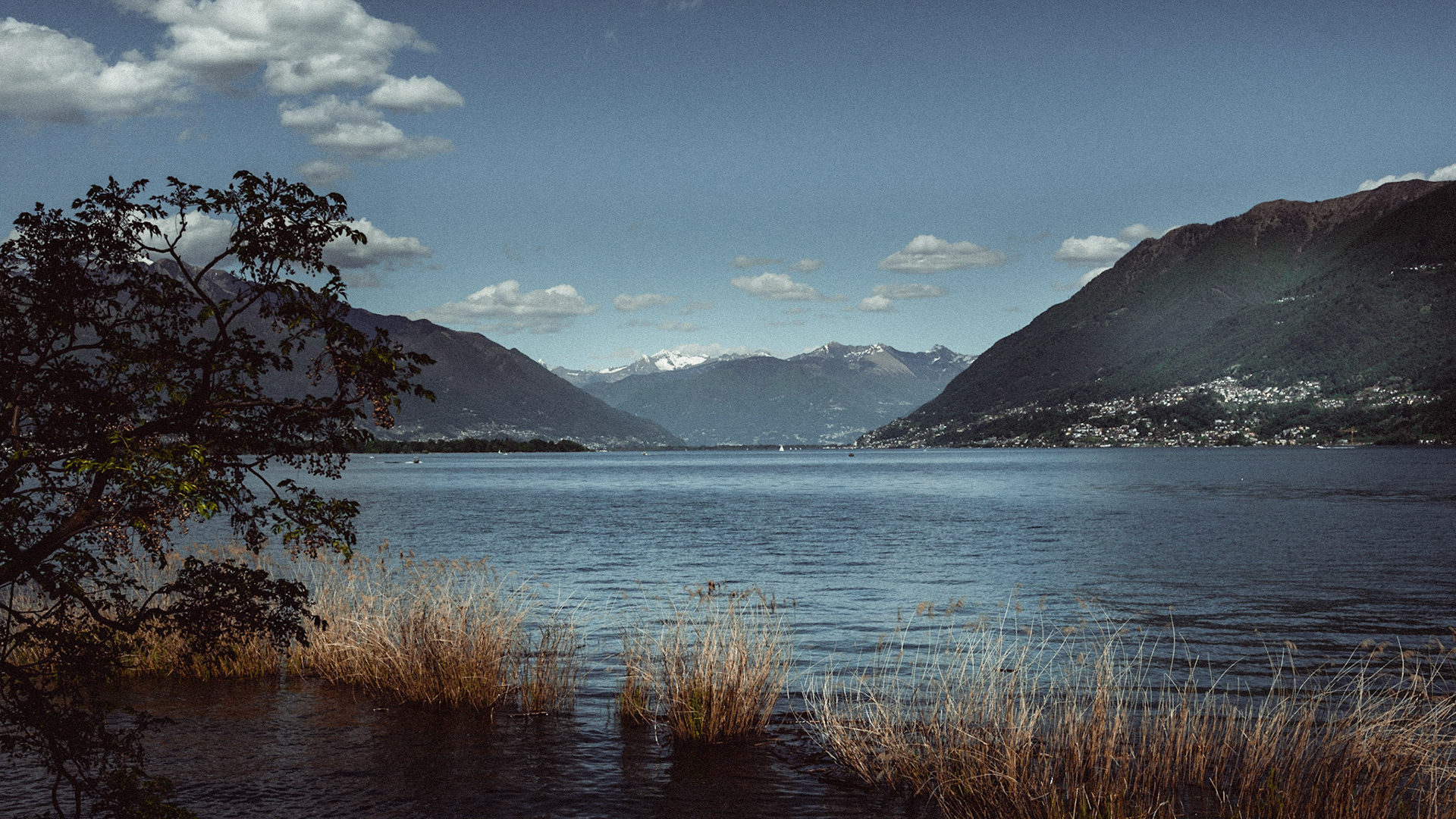 Lago Maggiore mit Blick auf Locarno
