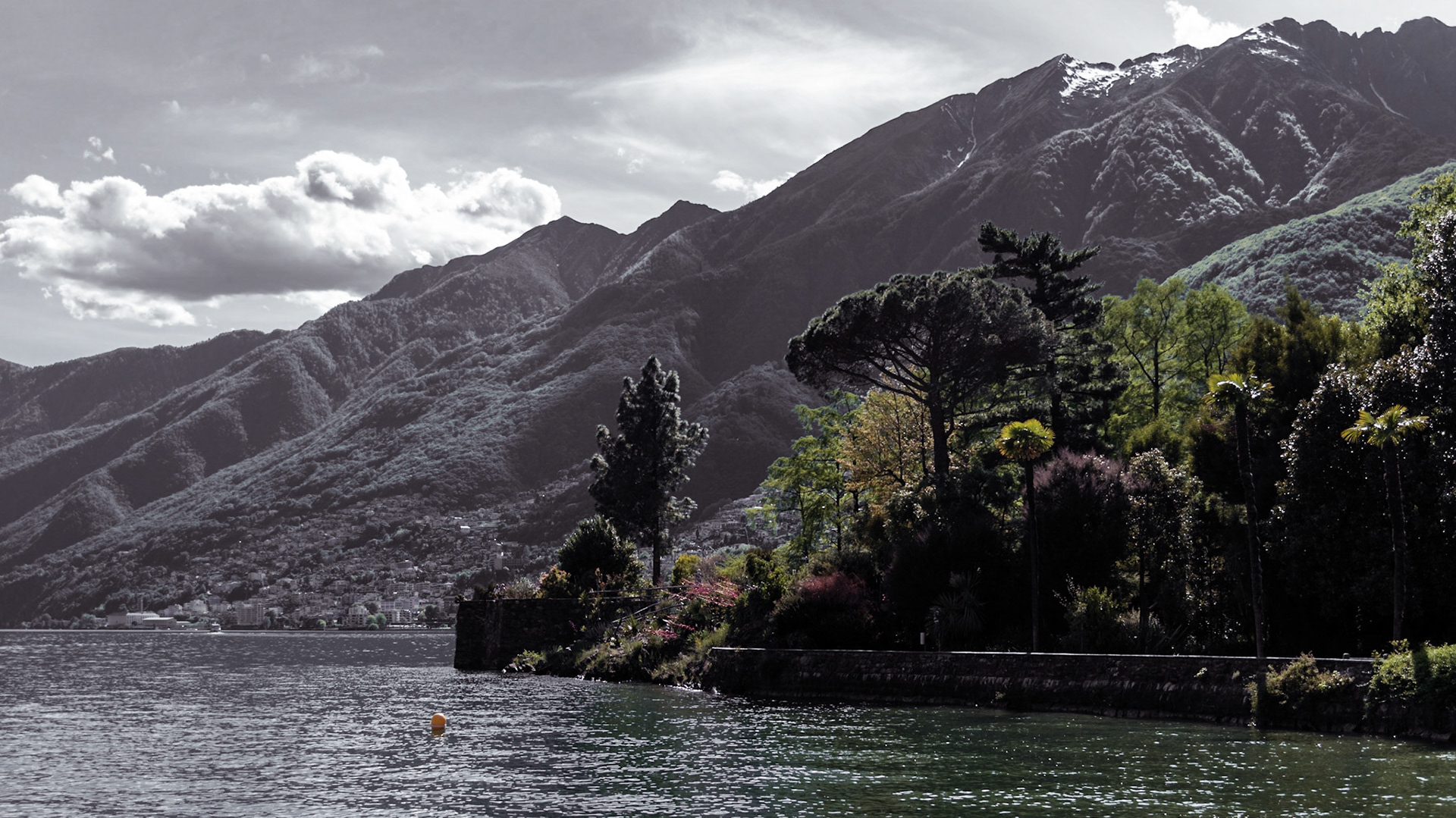 Isole di Brissago
