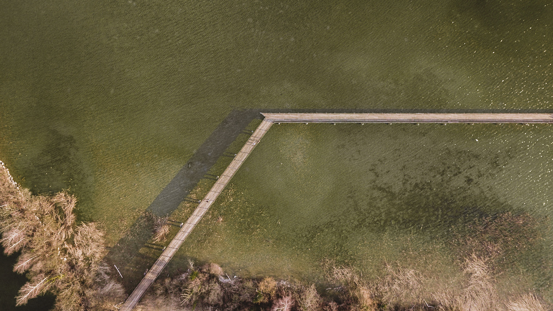 Wooden Bridge Rapperswil