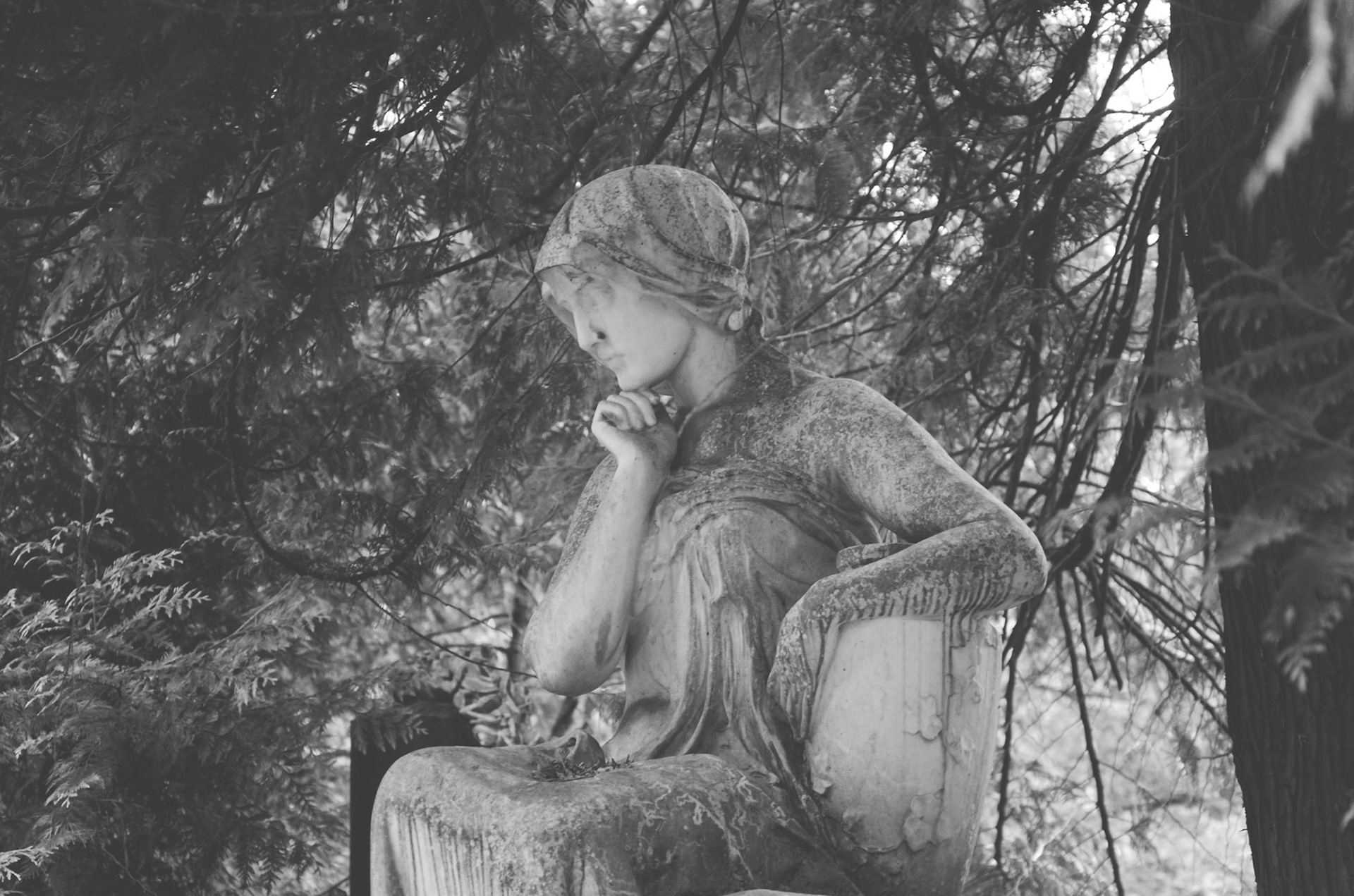 Cimetery