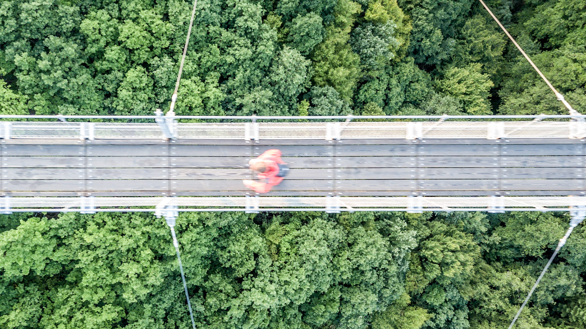 Person on a suspension bridge