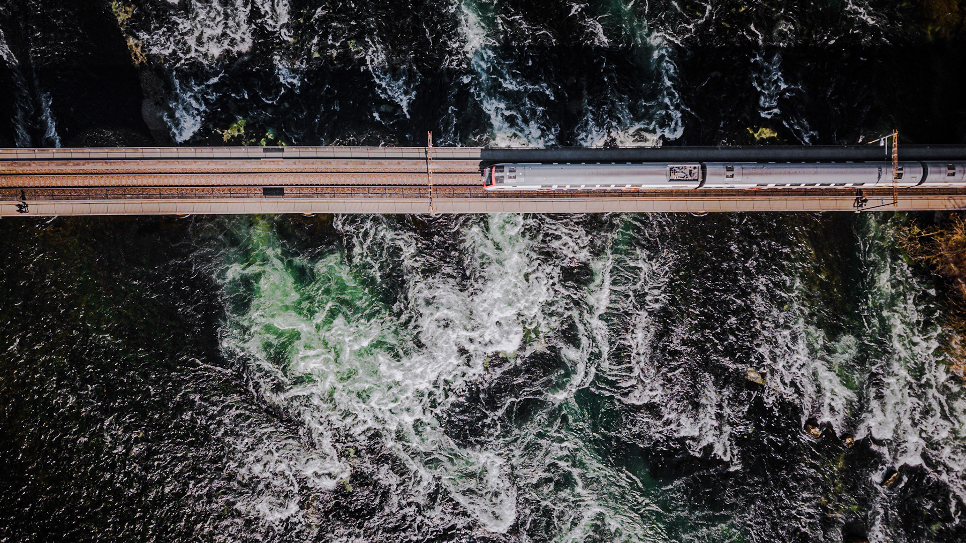 Train on the Rhinefall Bridge