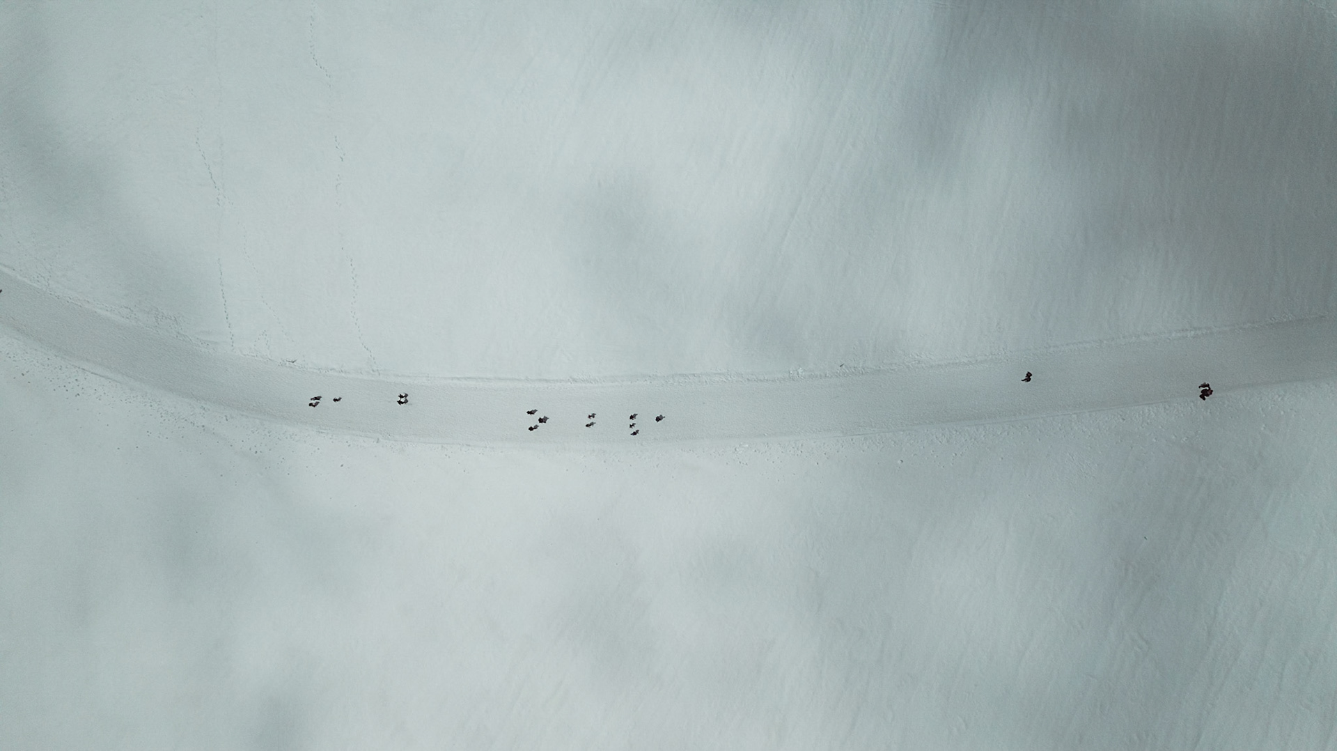 Wanderer auf dem Gletscher