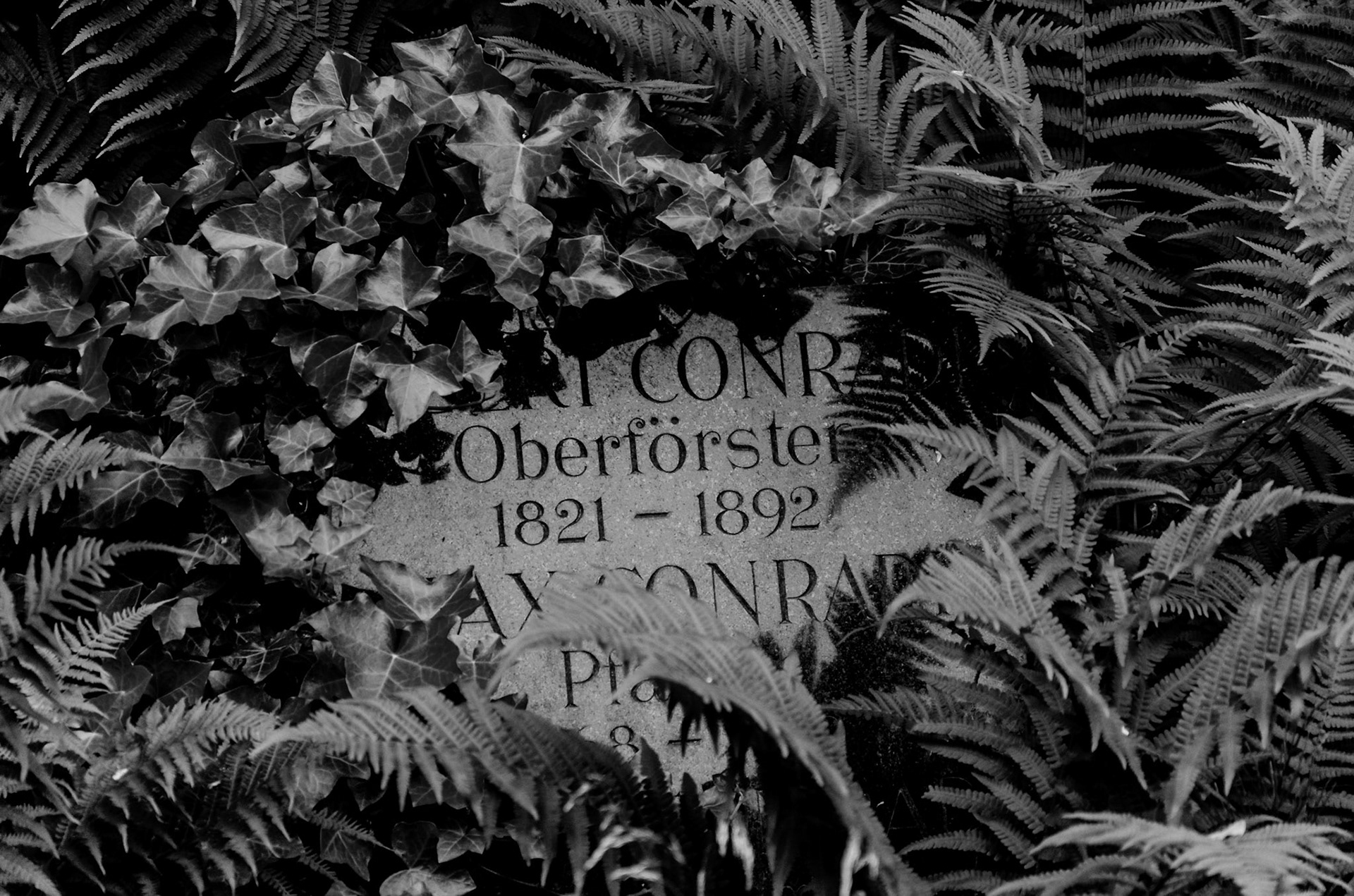 Cimetery