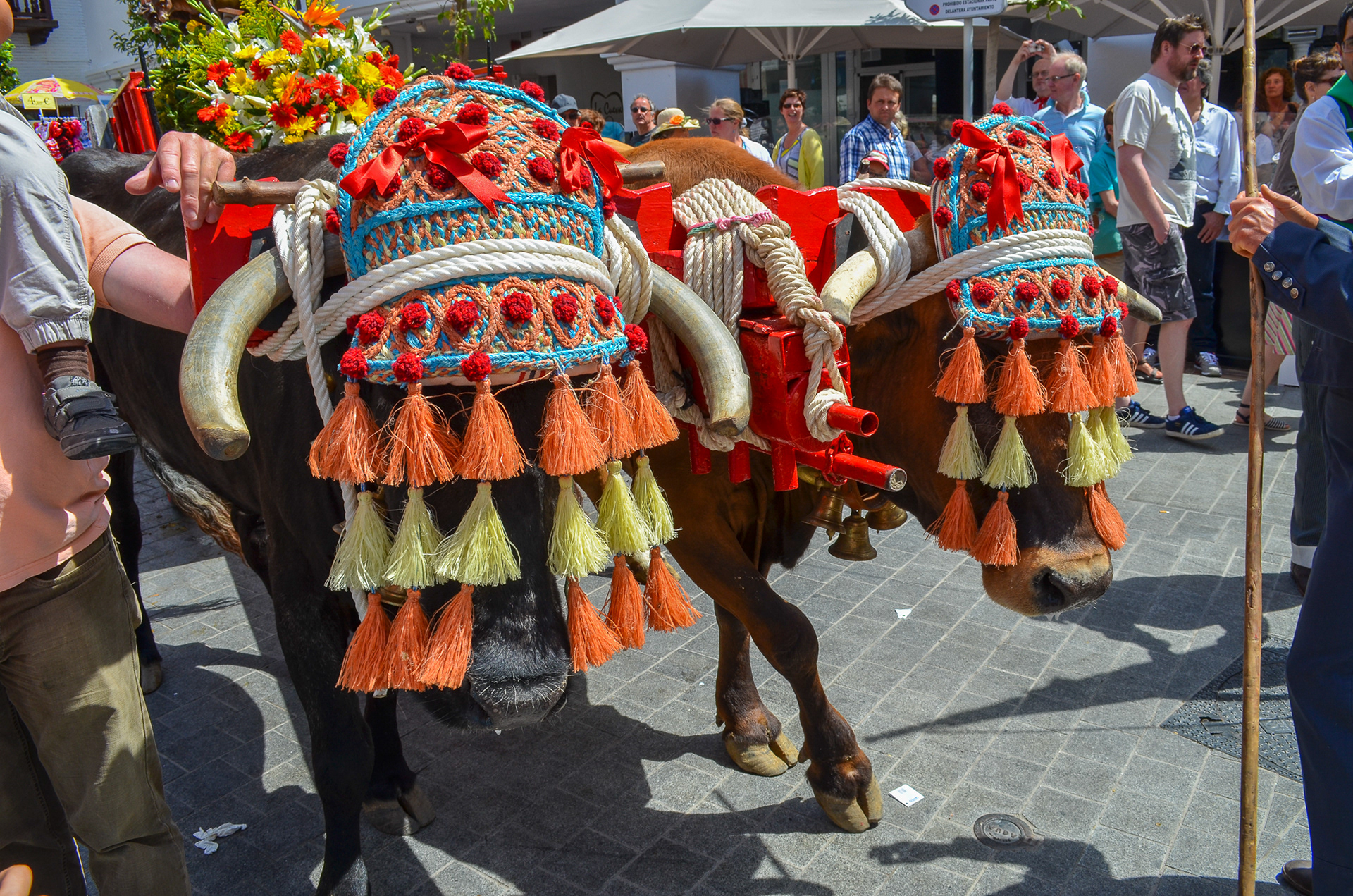 Romeria de San Isidro, Nerja, Spain