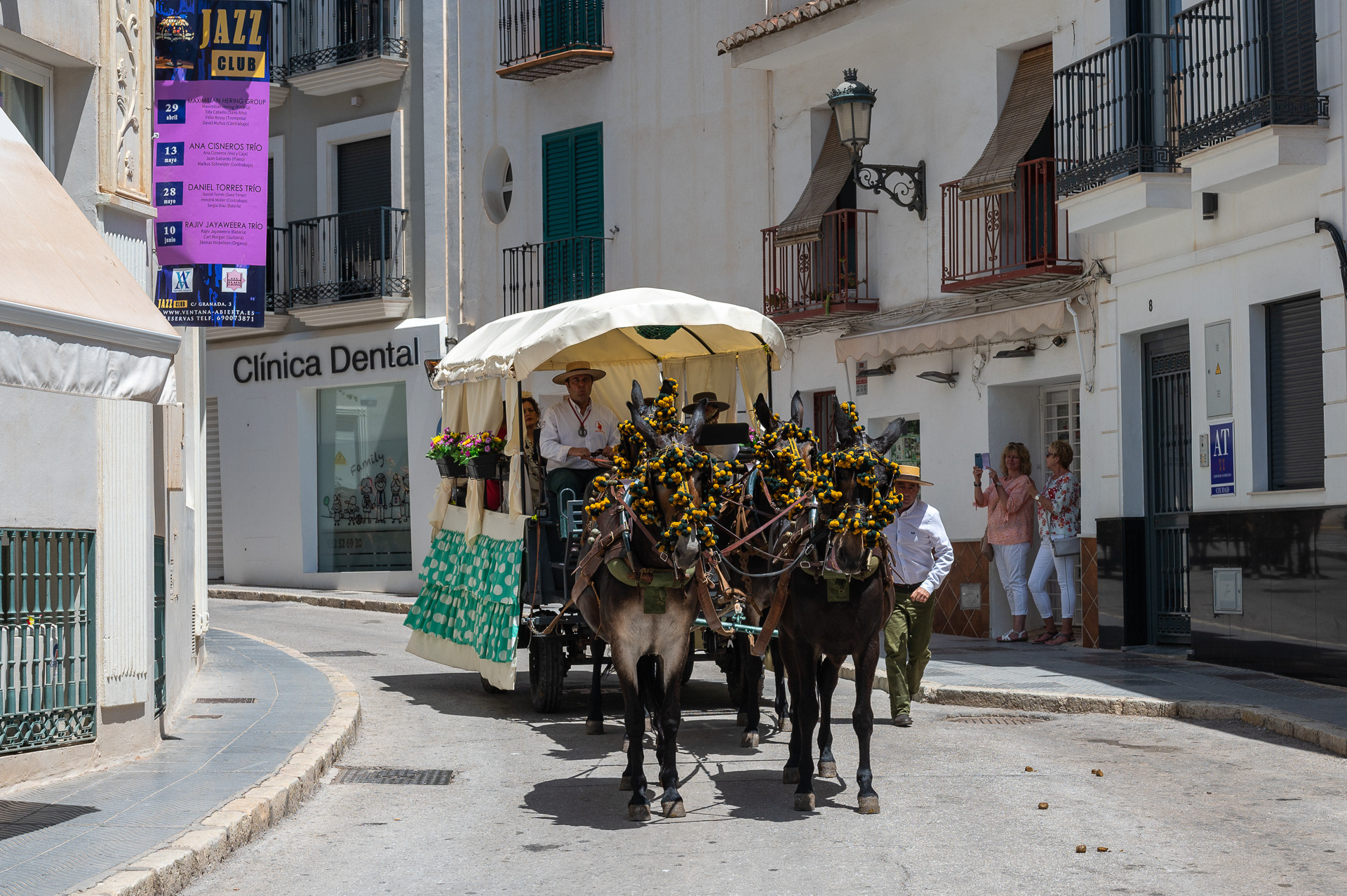 Romeria de San Isidro, Nerja, Spain