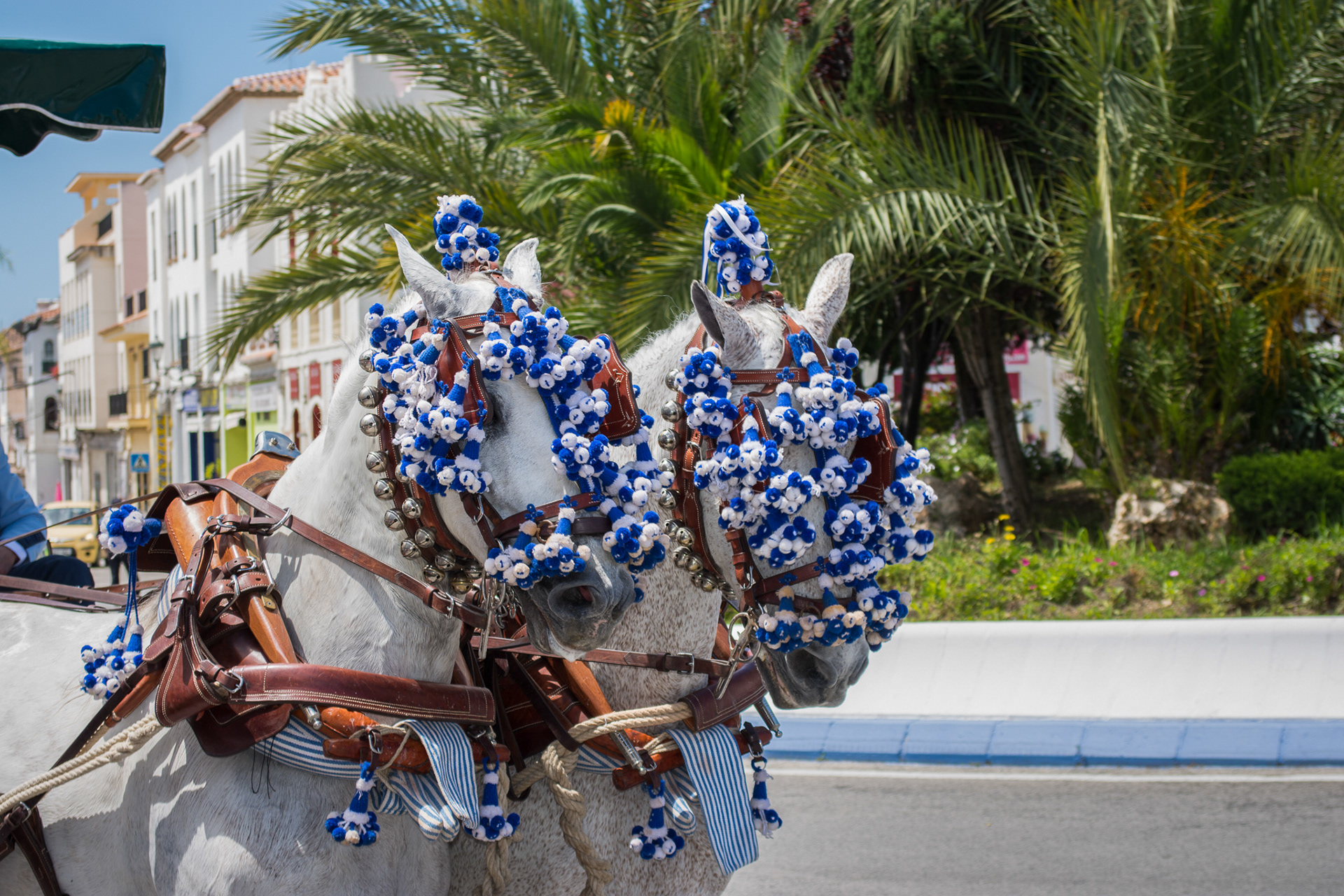 Romeria de San Isidro, Nerja, Spain