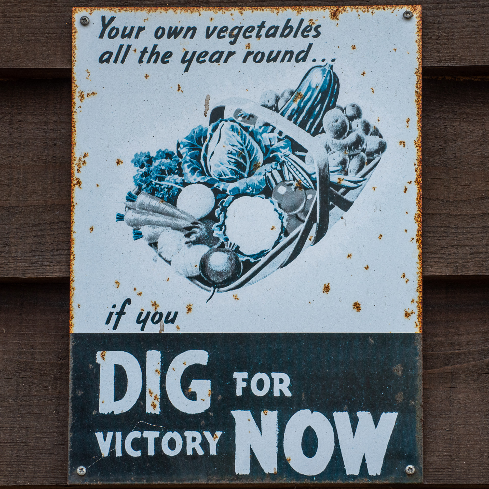 Dig for Now sign