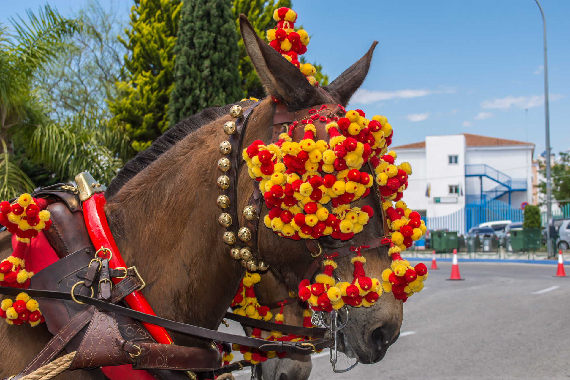 Romeria de San Isidro, Nerja, Spain