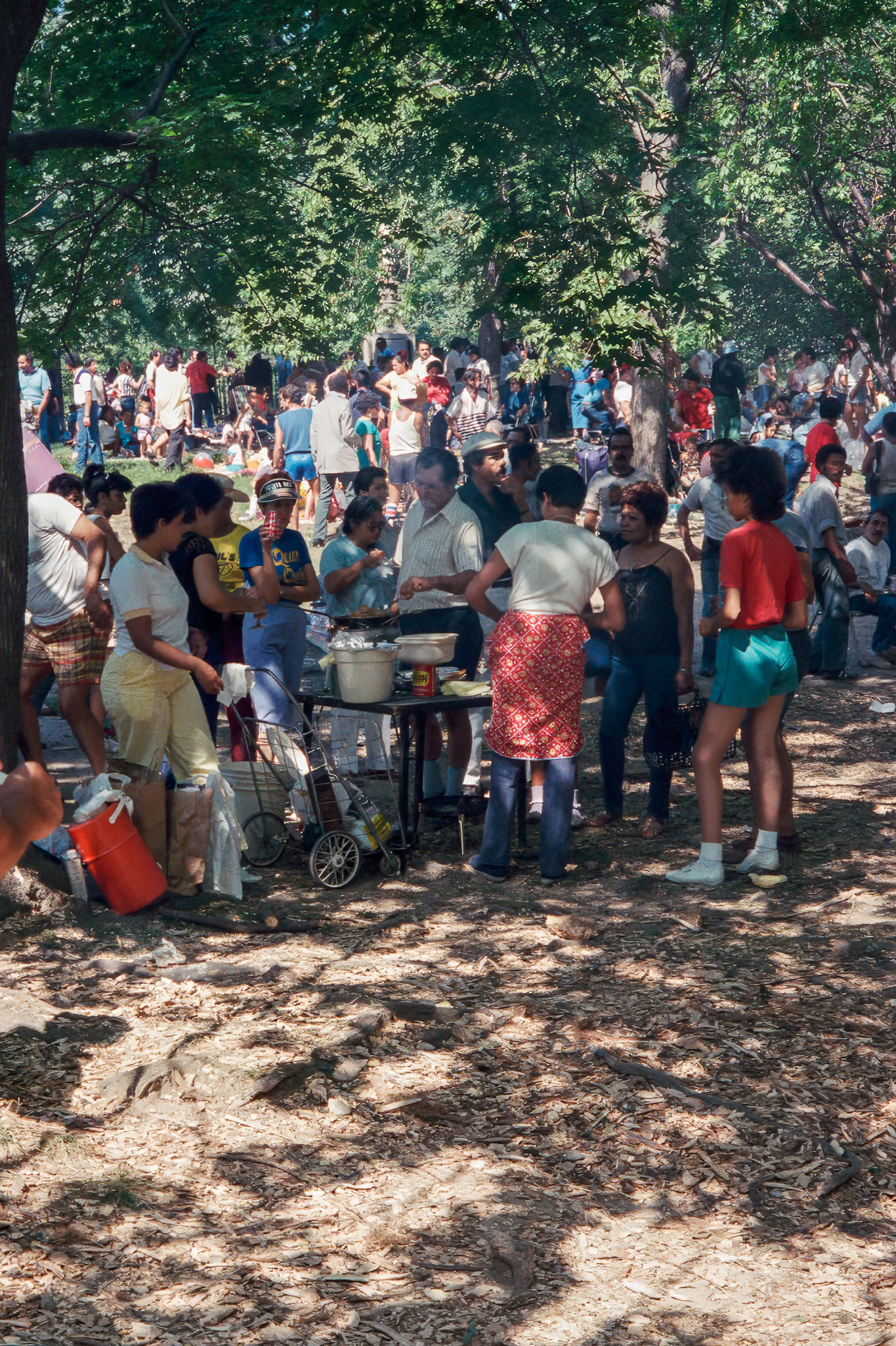 Central Park, New York