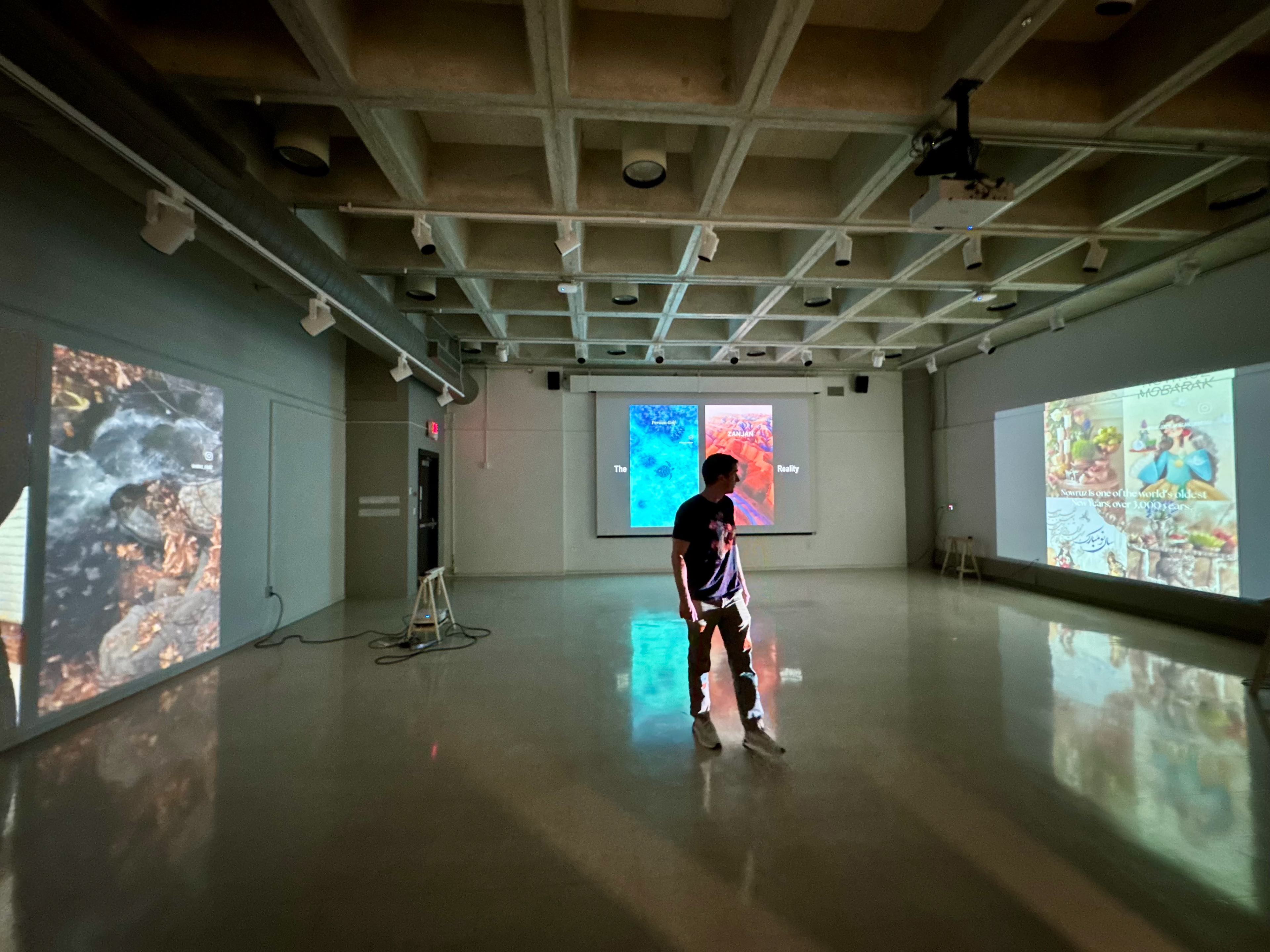 Beyond the Veil, 2026, Multimedia installation