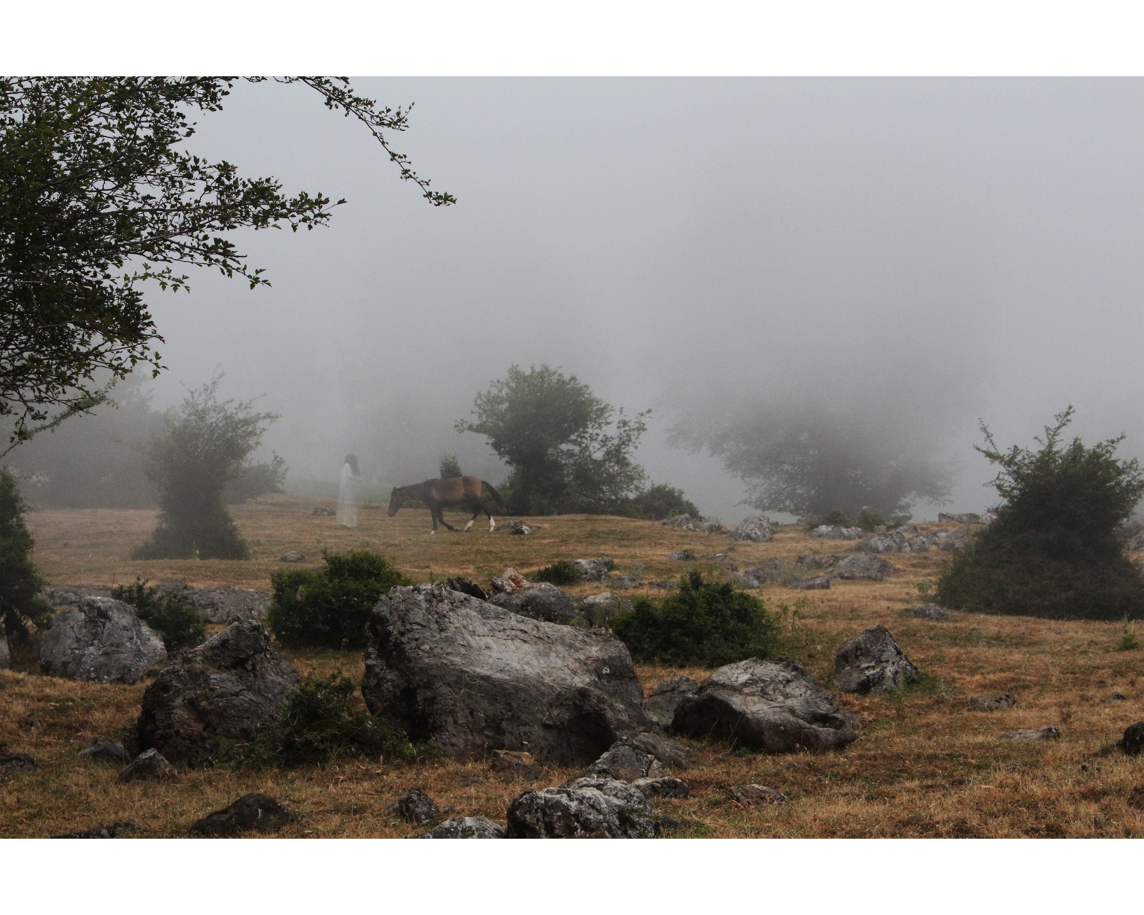 The Wanderer, Paranormal Photography, Print on Photo paper, 2025